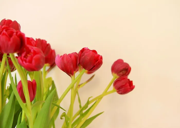 Bed & Breakfast Buonaluna Salerno