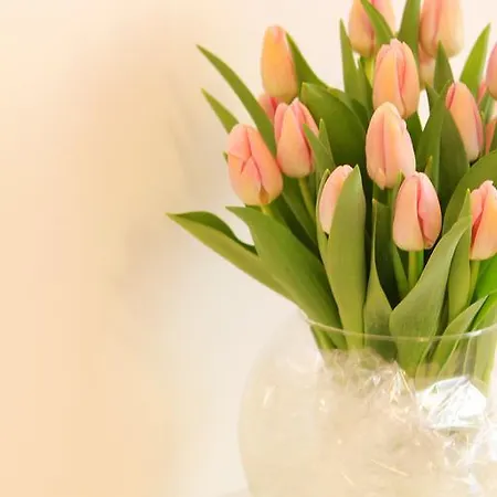 Bed & Breakfast Buonaluna Salerno