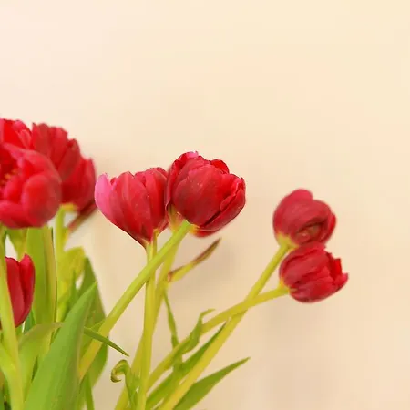 Bed & Breakfast Buonaluna Salerno