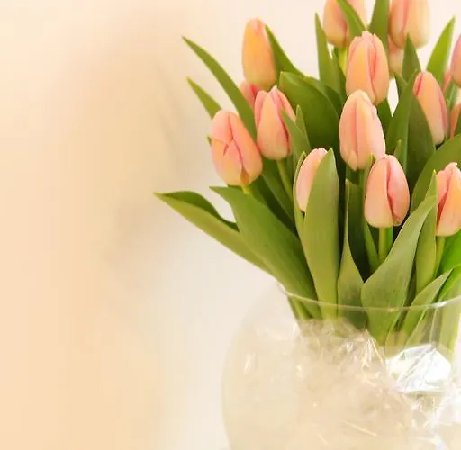 Nocleg ze śniadaniem Buonaluna Salerno